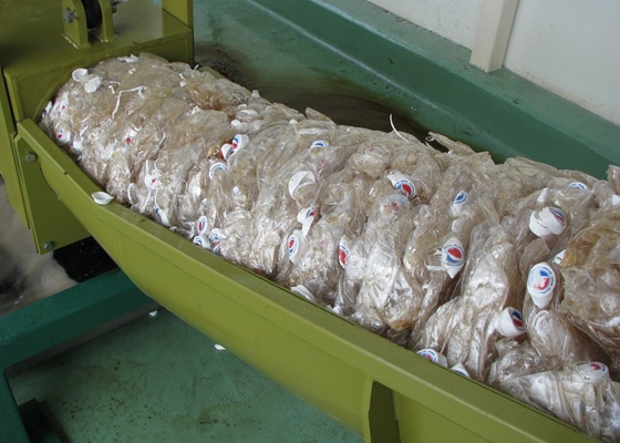 dewatered and compacted PET bottles