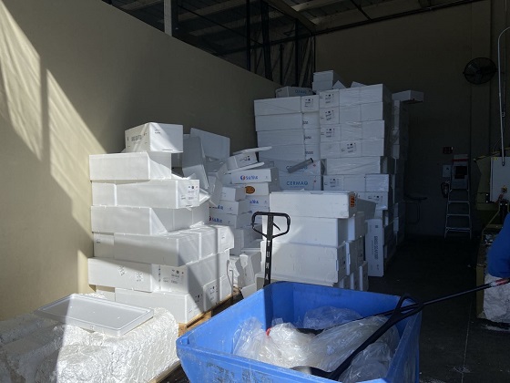 polystyrene-boxes