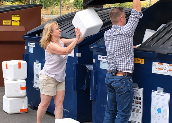 Sydney foam recycling